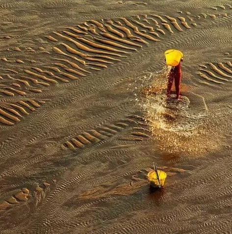 梦幻西游网页版官网交易平台_梦幻西游网页版游戏交易平台，畅玩梦幻的安全交易港湾