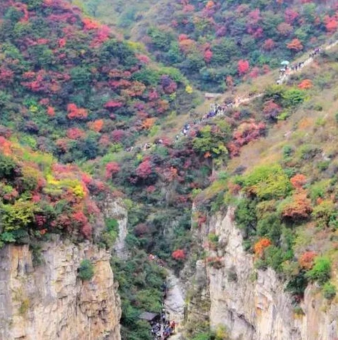 天涯明月刀手游角色转换怎么弄_天涯明月刀手游角色转换全攻略，轻松实现角色转换