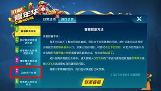 手游飞车兑换码在哪里_手游飞车兑换码使用全攻略，轻松获取超值奖励