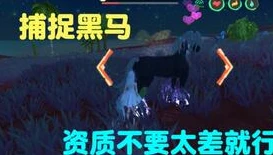 创造与魔法中的宠物饲料大全_创造与魔法宠物饲料大全，全面解析宠物喂养之道