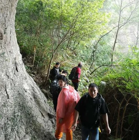 梦幻西游时空区怎么样_梦幻西游时空区，探索奇幻世界的独特之旅