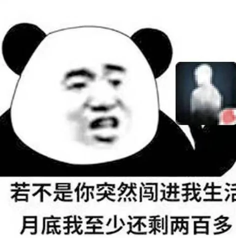 明日之后柜子上锁忘了密码怎么解锁_明日之后柜子密码遗忘？解锁与重新设置全攻略