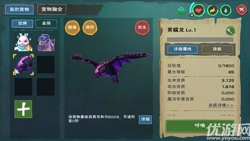 创造与魔法坐骑兑换码永久不过期_创造与魔法，探寻永久坐骑兑换码的奇妙之旅