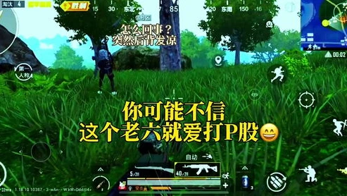 创造与魔法的狮鹫的兑换码是多少?_探寻〈创造与魔法〉2021年狮鹫坐骑兑换码