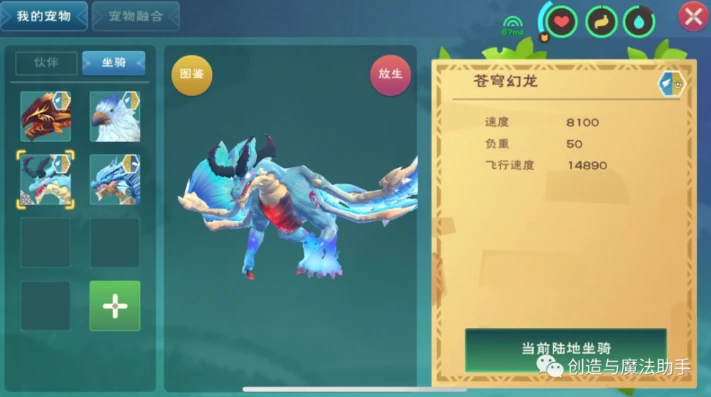 创造与魔法苍穹幻龙饲料保底_创造与魔法苍穹幻龙宠物资质全解析，饲料保底背后的秘密