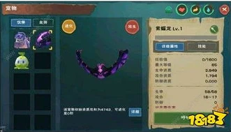 创造与魔法抱抱熊进阶资质要求_创造与魔法抱抱熊融合进阶全解析，资质要求与养成攻略