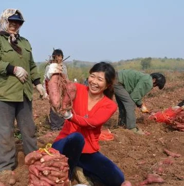 憨憨游戏解说_憨憨玩游戏第五人格，一场惊心动魄的庄园之旅