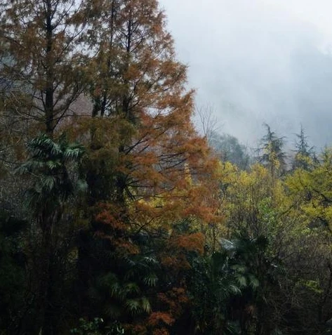 问道手游千山吹梦什么时候开服的呀_问道手游千山吹梦开服时间及游戏特色深度解析