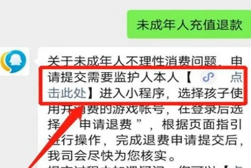 和平精英未成年退款是否全额退款_和平精英未成年退款，关于全额退款的探讨与相关问题解析