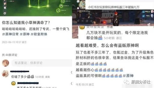 网上出现的原神充值是真的吗还是假的_原神充值，网络现象背后的真假之辨