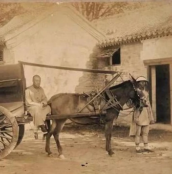 问道手游神秘宠物是什么样子的?_问道手游，野生宠物变宝宝全解析与神秘商人探寻