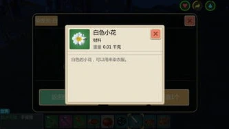 创造与魔法绑定点卷怎么用_创造与魔法绑定点券全解析，获取途径与使用方式