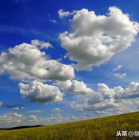 天涯明月刀小说txt百度云_天涯明月刀双语小说，一场武侠与异域文化的交融之旅