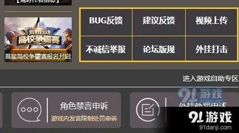 荒野行动pc申诉通道_荒野行动PC版申诉指南，全面解析申诉流程与填写要点