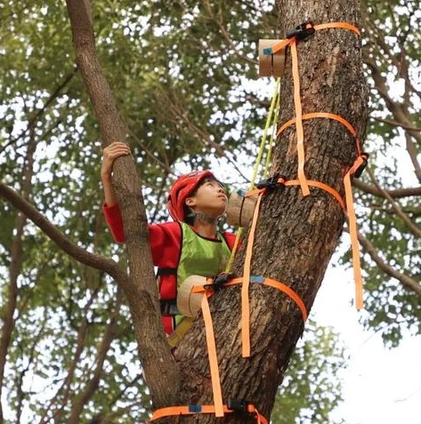 荒野行动游戏app是什么级别的软件_探究荒野行动游戏App的级别，从多方面剖析其游戏特质