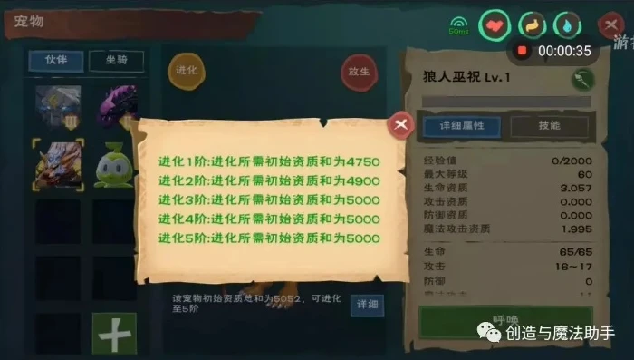 创造与魔法狼人巫祝升阶资质_创造与魔法，狼人巫祝阶资质全解析，升阶之路深度探索