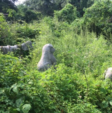 梦幻西游手游桃源仙子在哪打_探寻梦幻西游手游中桃源仙子的所在之处