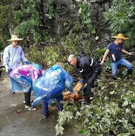 明日之后树枝怎么获得?_明日之后树枝获取全攻略