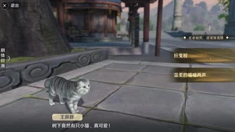 天涯明月刀猫之友坐标_〈天涯明月刀〉猫之友，那些眼熟的猫与背后的故事