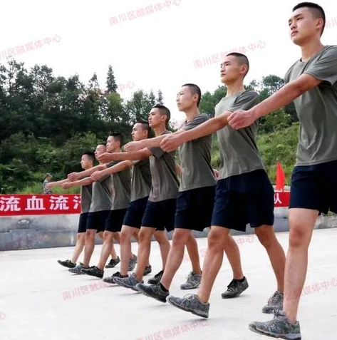 穿越火线枪战王者体验服申请资格_穿越火线枪战王者体验服申请，全方位解析与问卷答案思路