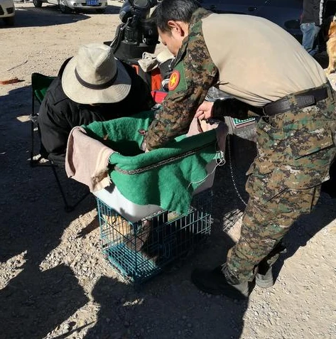 问道手游版平台交易猫_问道手游交易猫，安全便捷的手游交易新体验