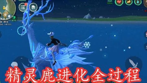 创造与魔法新出来的坐骑饲料_创造与魔法，新坐骑饲料配方全解析