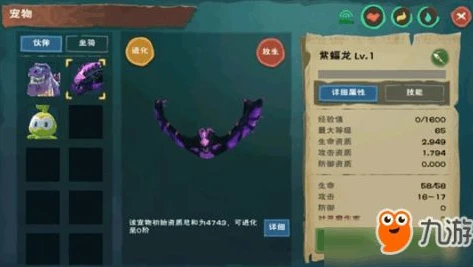 创造与魔法所有宠物融合全过程图片_创造与魔法宠物融合全解析，从基础到进阶的融合之旅