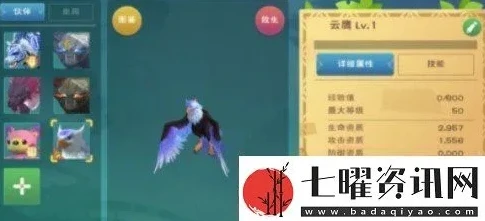 创造与魔法制作云斑鹦鸟饲料怎么做的_创造与魔法，云斑鹦鸟饲料制作全攻略