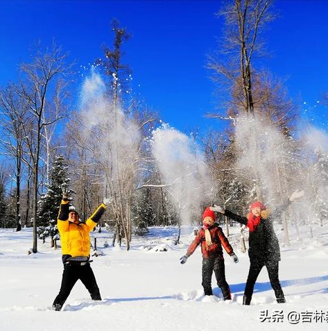 梦幻西游手游桌面版无法扫码登录怎么回事_梦幻西游手游桌面版无法扫码登录？原因与解决方法全解析