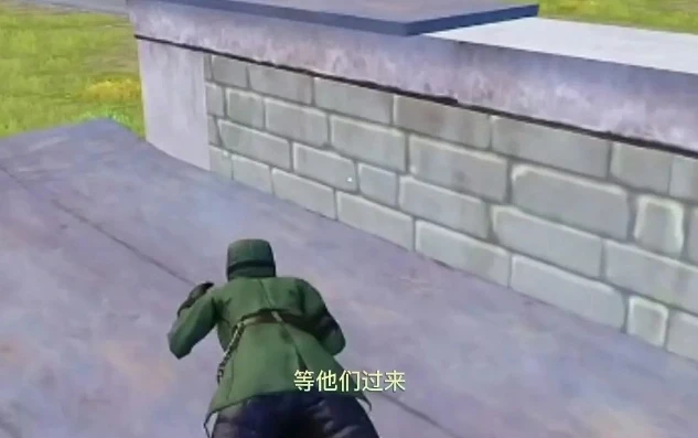 和平精英老六搞笑视频英语翻译_Title: Hilarious Moments of Lao Liu in Game for Peace: A Funny Video Compilation