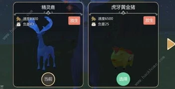 创造与魔法坐骑饲料大全图_创造与魔法，坐骑饲料大全全解析