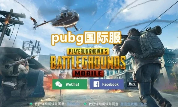 pupg国际服官网下载_畅玩PUBG国际服，官方正版手游下载全攻略