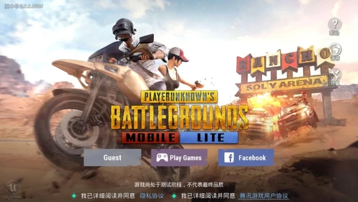 pupg国际服官网下载_畅玩PUBG国际服，官方正版手游下载全攻略