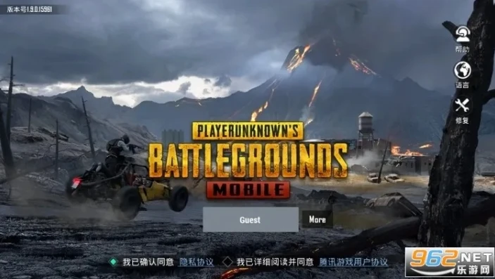 pupg国际服官网下载_畅玩PUBG国际服，官方正版手游下载全攻略