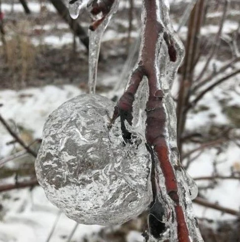 梦幻西游手游用户登陆被冻结怎么解除_梦幻西游手游被限制登录的解除方法全解析