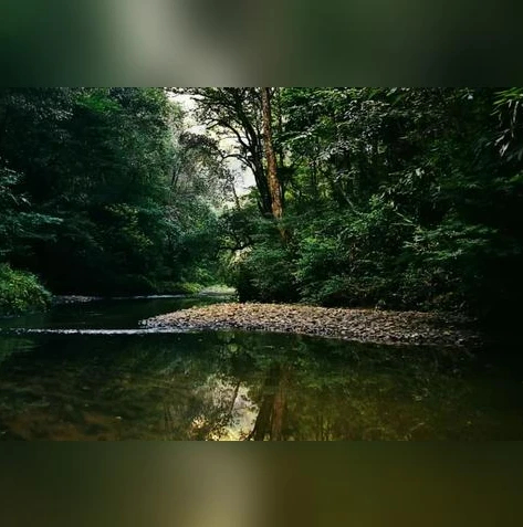 天成的和平精英视频解说全集_〈天成和平精英解说全集〉，带你深入剖析刺激战场中的热血与策略