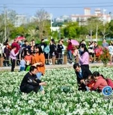 原神云游戏版手机_原神云游戏版，手机端的奇幻畅游新体验