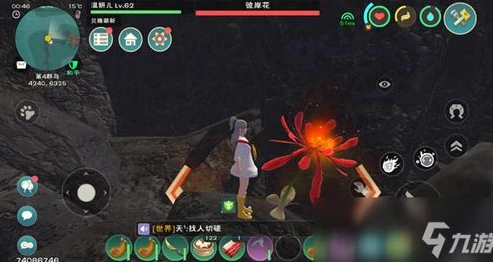 创造与魔法各种道具大全_创造与魔法道具全解析，探索神秘大陆的得力助手