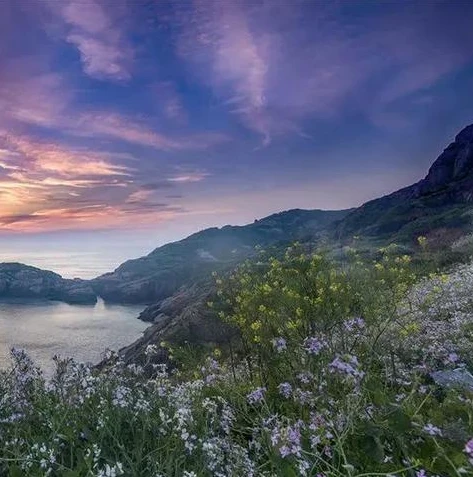 和平精英海岛苟分路线_和平精英海岛最强苟分点，隐秘角落与生存之道