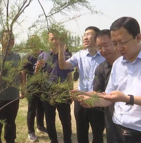 天涯明月刀手游下载需要多少流量才能玩_天涯明月刀手游，下载流量需求全解析