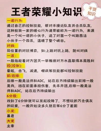 王者荣耀新手攻略在哪里看啊知乎_王者荣耀新手攻略获取全指南，探索多种途径成为王者小白的成长秘籍