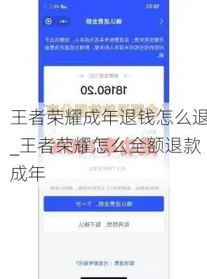 王者荣耀成年怎么退钱全款_王者荣耀成年玩家退全款攻略，权益维护与操作指南