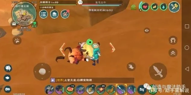 创造与魔法遗骸_创造与魔法，探寻骸骨最多的神秘位置