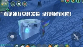 创造与魔法狼人巫祝多少集可以用到_创造与魔法，狼人巫祝的使用等级全解析