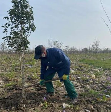 在线玩王者荣耀云游戏的平台_云游戏时代，王者荣耀在线玩的全新体验