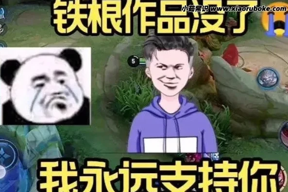 王者荣耀铁根er在哪直播_王者荣耀铁根er，从默默无闻到火爆的传奇解说之路