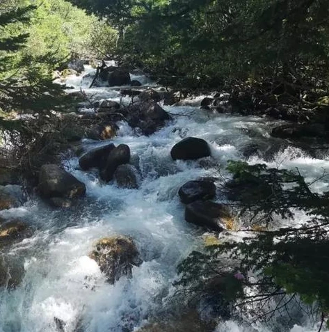 梦幻西游手游教师节活动攻略大全_梦幻西游手游教师节活动攻略大全