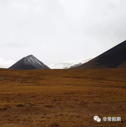 明日之后 希望谷 飞机 任务 没有完成_希望谷地飞机任务未完成，明日之后的遗憾与挑战