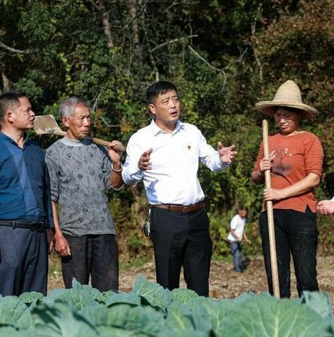 大话西游免费版客服电话人工服务_大话西游免费版客服电话，连接玩家与游戏世界的重要桥梁