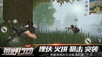 荒野行动网易pc版怎么登录_荒野行动网易PC版登录全攻略，开启热血战斗之旅